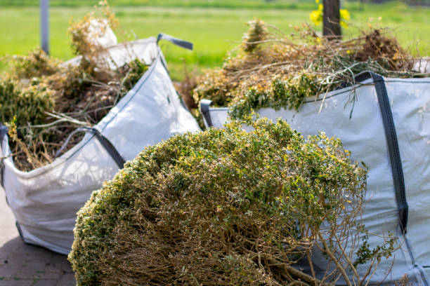 Best Basement Cleanout Services  in Angier, NC